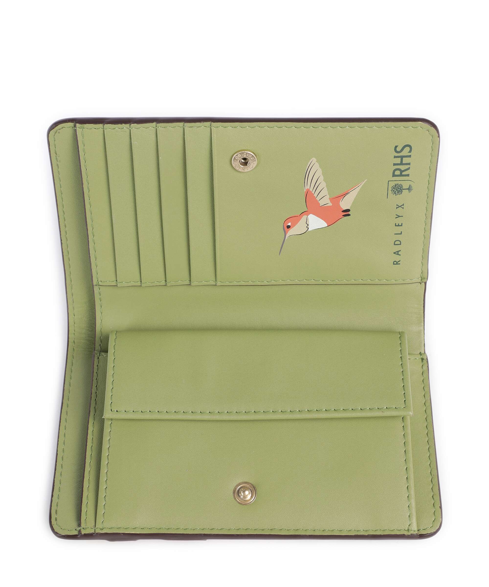 Radley London The Rhs Collection Portefeuille salt - Image 2